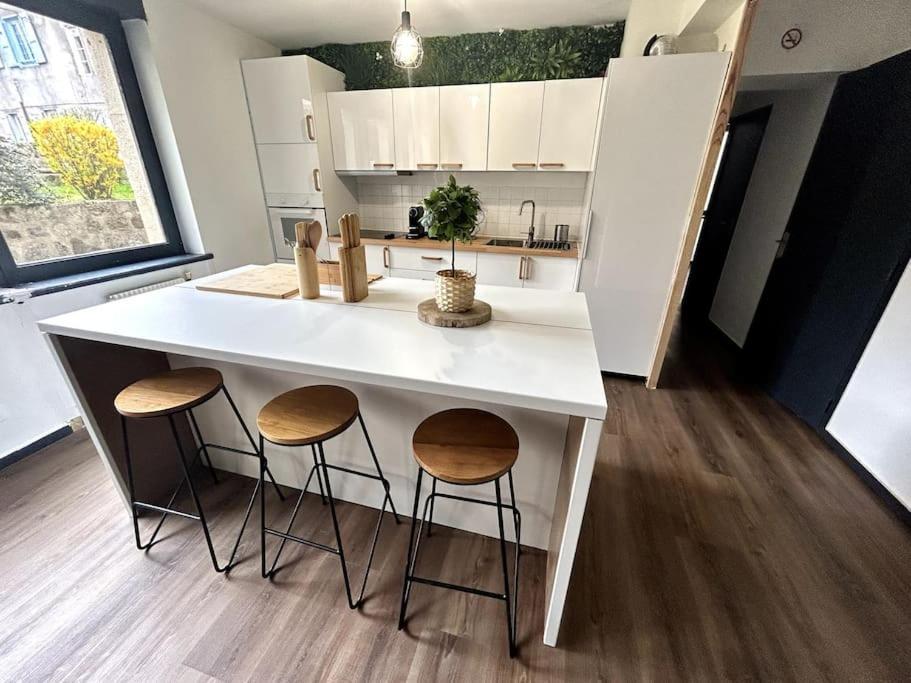 Le Puy En Velay - Appartement Grand Confort Eksteriør bilde