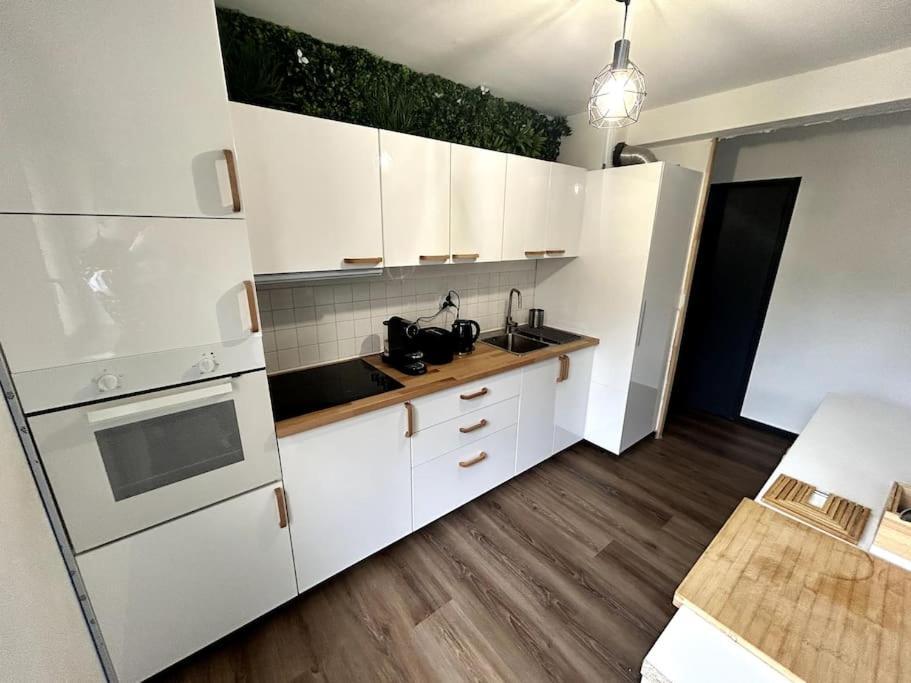 Le Puy En Velay - Appartement Grand Confort Eksteriør bilde