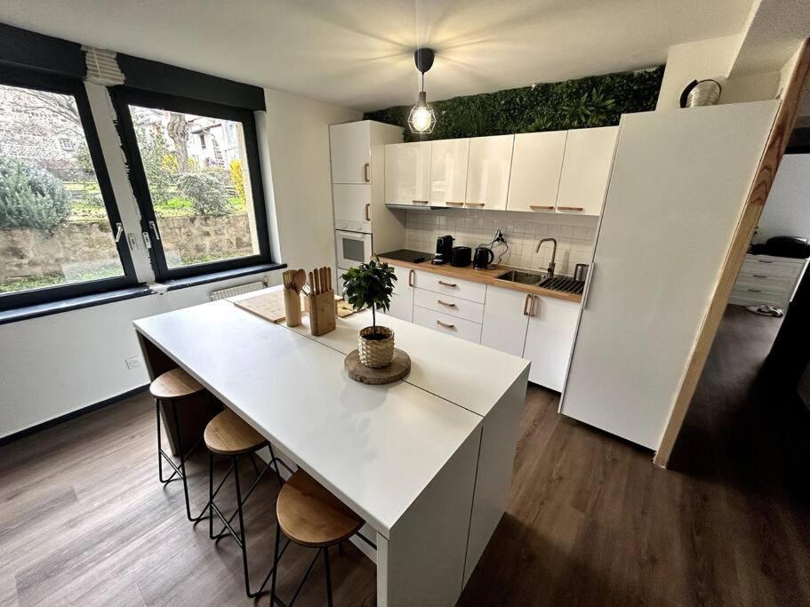 Le Puy En Velay - Appartement Grand Confort Eksteriør bilde